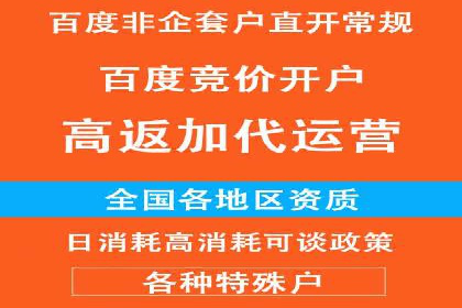 百度竞价优化技巧：实战案例深度剖析